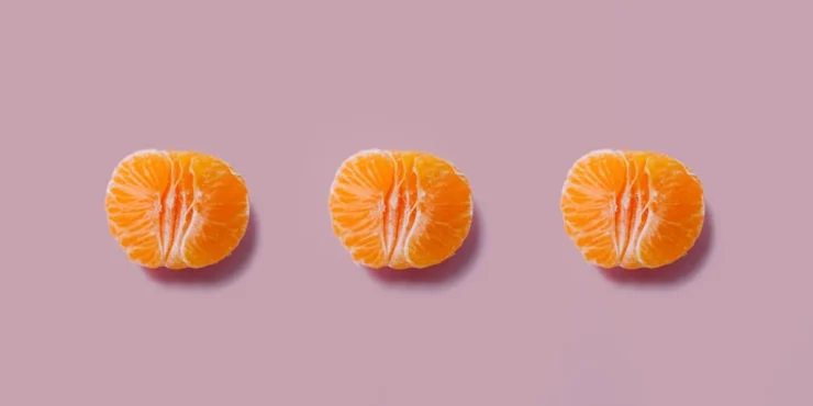 quelle difference entre clementine mandarine